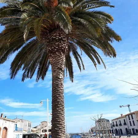 De Charme Sur Le Port De * Marseillan (Herault)