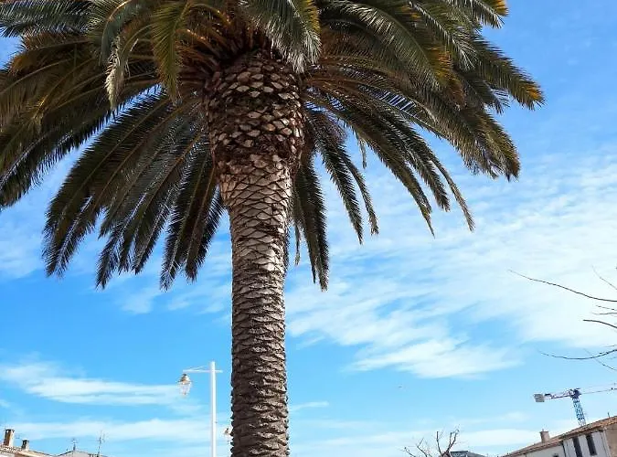 De Charme Sur Le Port De * Marseillan (Herault)